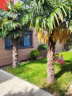 Sika Garden Apartment Arad - Arad - 9