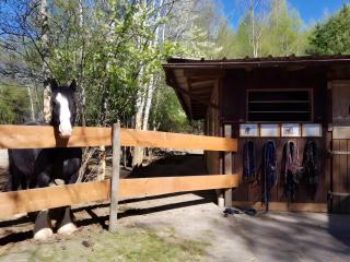 Urlaub Auf Der Aspen Ranch - Salem - 1