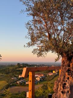 Il Tramonto - Deluxe Apartments - Roncofreddo - 5