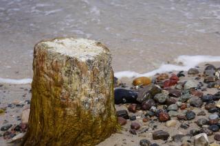 Fewo Ostseetraum - Chariette - 8