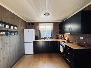 Modern mountain cabin in Tisleidalen, Golsfjellet - Gol - 1