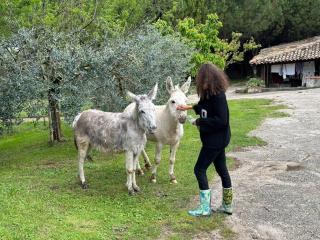 Eco Farm La Cavallina - Affi - 2