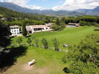 Eco Farm La Cavallina - Affi - 3
