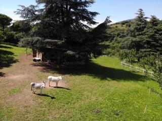 Eco Farm La Cavallina - Affi - 4