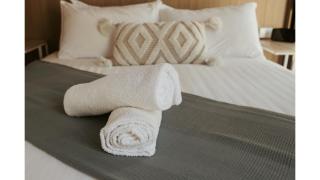 The Stables by Tiny Away - Palmwoods - 3