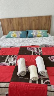 Central Apartment Bishkek - Bichkek - 4