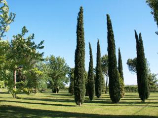 Elegant Holiday Home in Faenza with Garden and Pool - Faenza - 8