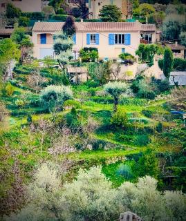 Artist House With View Over Nice - Falicon - 0