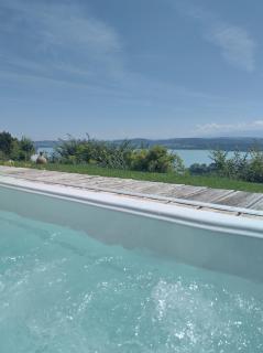 Swiss Borzoi House - Bellerive - 9
