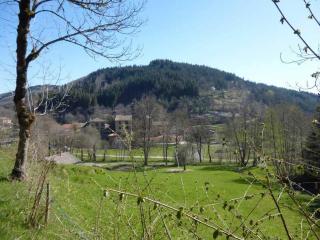 Gîte de charme 10 pers. à Saint-Vert - Nature préservée, 4 chambres, jardin clos - FR-1-582-307 - 1