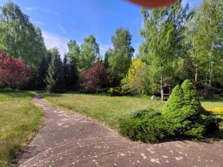 Bukowinka - dom pod lasem - 9