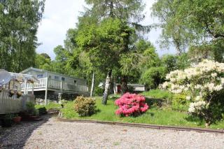 Twenty shilling wood holiday park - Comrie - 9