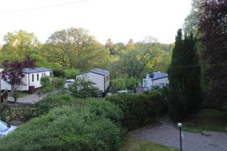 Twenty shilling wood holiday park - 2