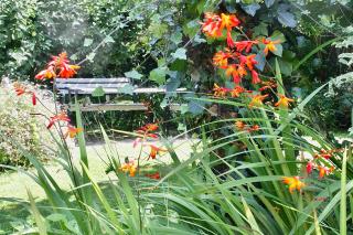 Antonia's Pearls - St Austell - 5