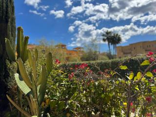 Bajo El Faro de Puerto Rey - Vera Playa - 2