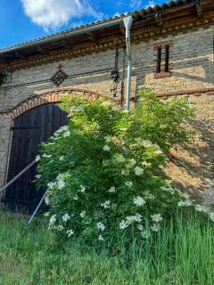 Idyllic Hideaway In The Countryside - Marienwerder - 8