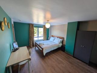 Modern city house, Belfast - Belfast - 8
