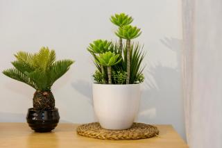 The Alou Apartment 1 - Montiboli - Private Beach - Villajoyosa - 6