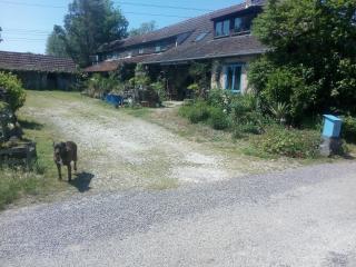 Plattelandservaring in alle rust en ruimte - - 6