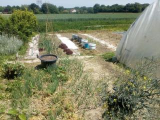 Plattelandservaring in alle rust en ruimte - - 2