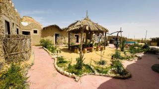 ادرار احكيك - Siwa - 5