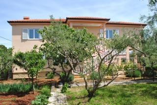 Apartmani Villa Dragica - Ugljan - 2