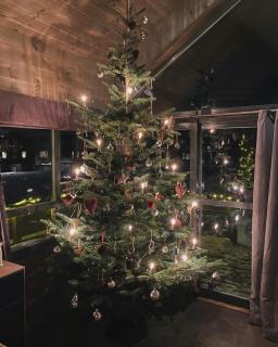 Familiehytte Med Utsikt Mot Store Og Lille Hødn - Hemsedal - 3