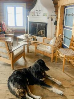 Traditional Mountain Cabin Near Hallingskarvet - Torpo - 6