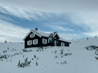 Traditional Mountain Cabin Near Hallingskarvet - Torpo - 5