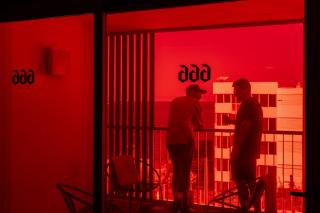 Ryans Ibiza Apartments - Only Adults - Ibiza - 5