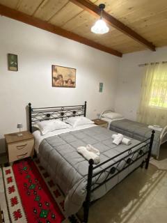 Villa KRONI - Theth - 9