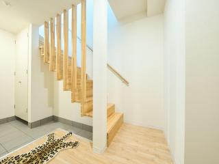 collection DOG HOUSE - 9