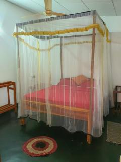 Ethnico Beach Resort - Arugam Bay - 5