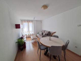 Los Pinos, acogedor apartamento con garaje - Arafita Apartamentos - Sabiñánigo - 0