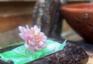 Yucan eco stay - Bedugul - 1