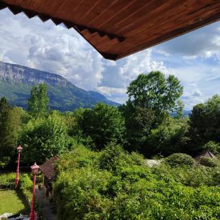 Les catalpas - Saint-Alban-de-Montbel - 8