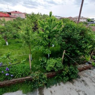 Komfort - 1