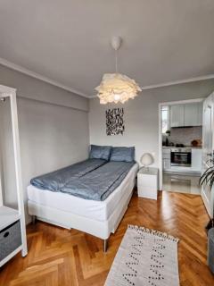 City Center Belvedere Apartment - Cluj-Napoca - 4