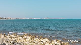 Suite on the beach - Bari - 9