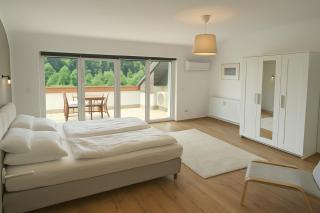 Traumhafte Wohnung mit Balkon & Flussblick in Neckarsteinach, 15km Heidelberg - Neckarsteinach - 6