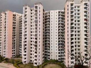 Suncity Apartment paying guests - 5