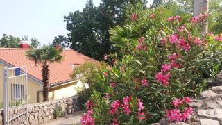 Apartment Oleandri A2 Mit Meerblickbalkon - Opatija - 0