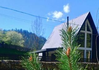 Gloriosa Chalet - Voronet - 9