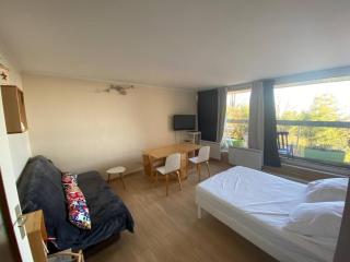 Studio entre forêt et vignoble ! - Turckheim - 9