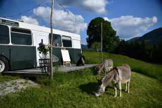 Tiny House Feeling mit Weitblick - Irdning - 0
