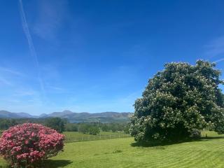 Ardenvhor - Loch Lomond - Gartocharn - 9
