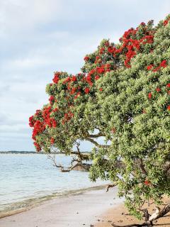 Quiet Escape - Karikari Peninsula - 5