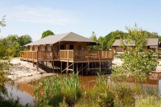 Glamping bij Vakantiepark De Sallandshoeve - 3