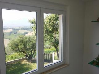 Palme e vigne - Offida - 9