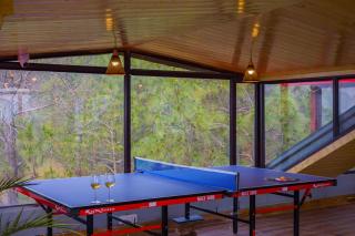 Alaya Stays Archee's 6 BHK Nature Retreat with Game Lounge & Open Dining - Kasauli - 4